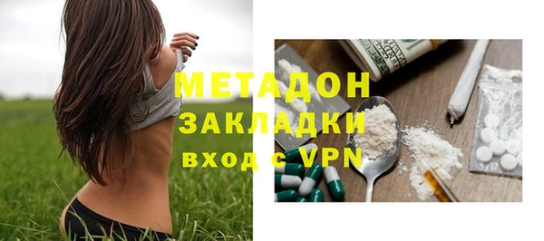 гидра Кодинск