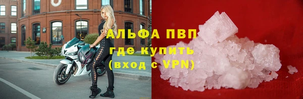 гидра Кодинск