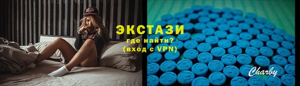 гидра Кодинск