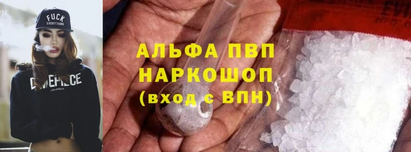гидра Кодинск