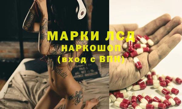 гидра Кодинск