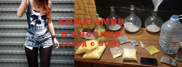 гидра Кодинск