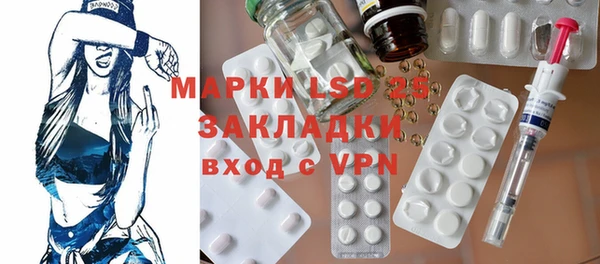 гидра Кодинск