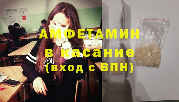 гидра Кодинск