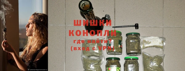 гидра Кодинск