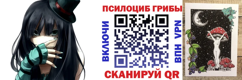 Купить  Гурьевск  Псилоцибиновые грибы Psilocybine cubensis 